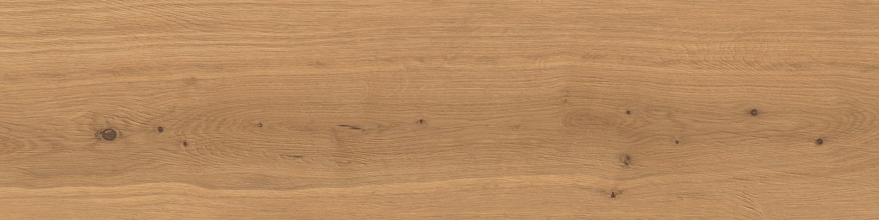 Atlas Concorde Log Amber Oak Forest 30x120 Outdoor Sensitech AX4C