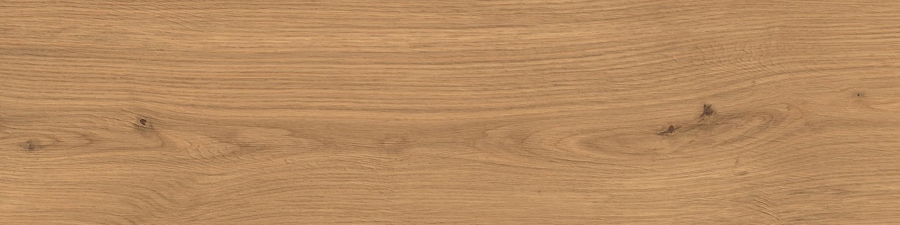 Atlas Concorde Log Amber Oak Forest 30x120 Outdoor Sensitech AX4C