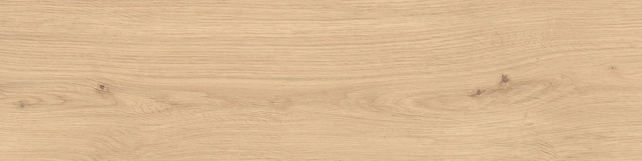 Atlas Concorde Log Bright Oak Forest 30x120 Outdoor Sensitech AX4B