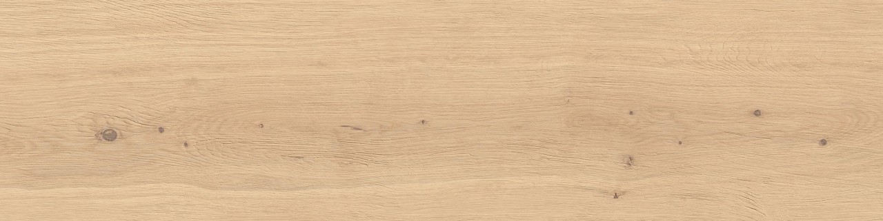 Atlas Concorde Log Bright Oak Forest 30x120 Outdoor Sensitech AX4B